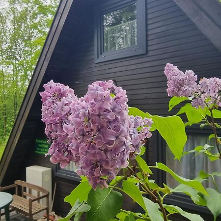 Ferienhaus Marie 125 Bad Arolsen Esterno foto