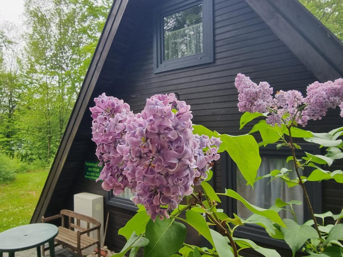 Ferienhaus Marie 125 Bad Arolsen Esterno foto